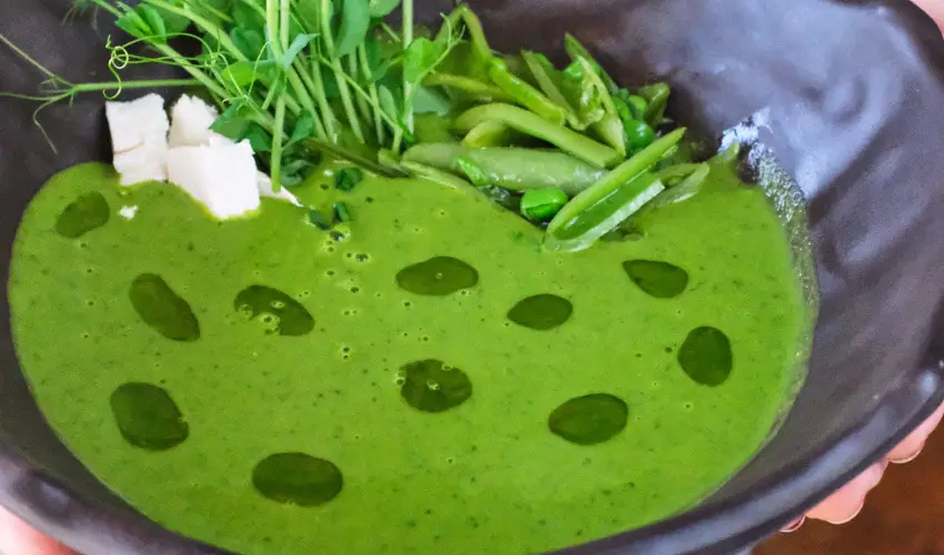 Neptun Badacsony Badacsony - Karcsony