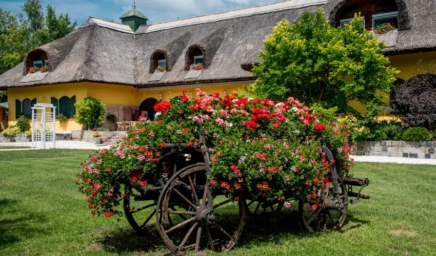 Nyerges Hotel Terml Monor - Karcsony