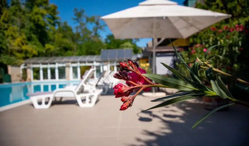 Nyerges Hotel Terml Monor - Karcsony