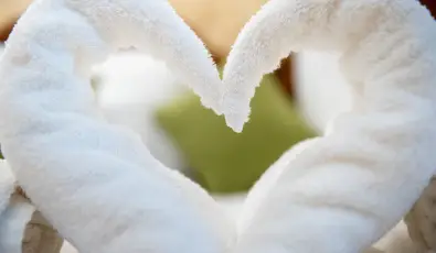 Nyerges Hotel Terml Monor