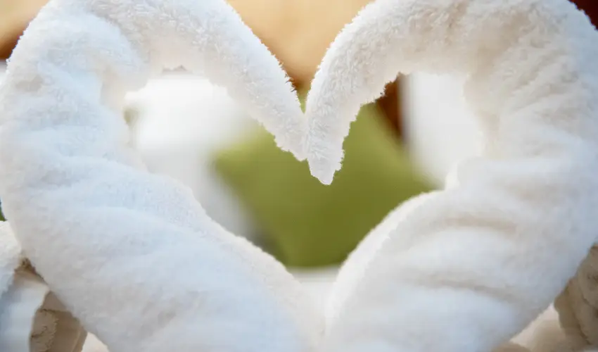 Nyerges Hotel Terml Monor - Karcsony