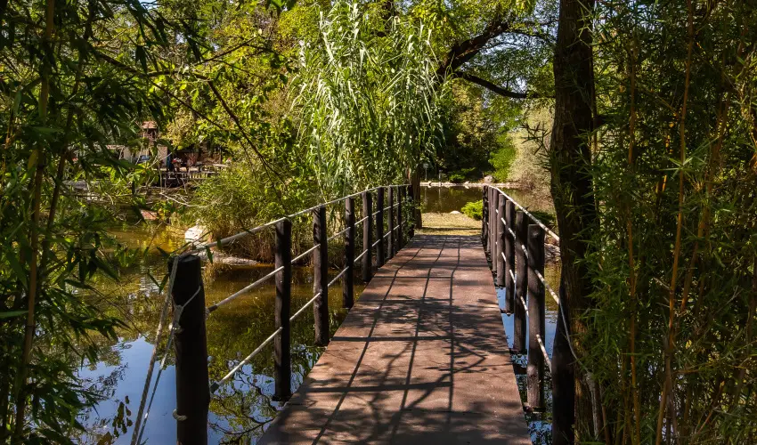 Nyerges Hotel Terml Monor - Karcsony