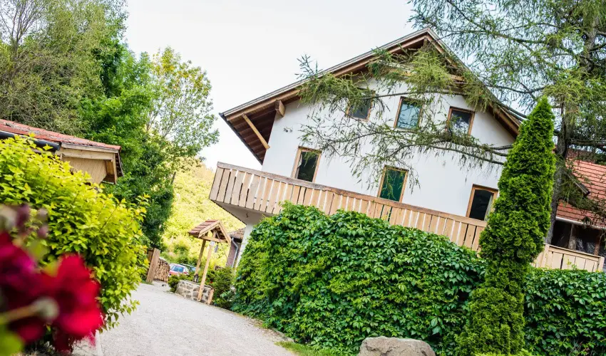 ko-Park Panzi Szarvask - Karcsony