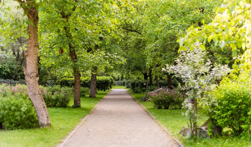 ko-Park Panzi Szarvask - Karcsony