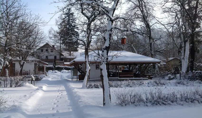 ko-Park Panzi Szarvask - Karcsony