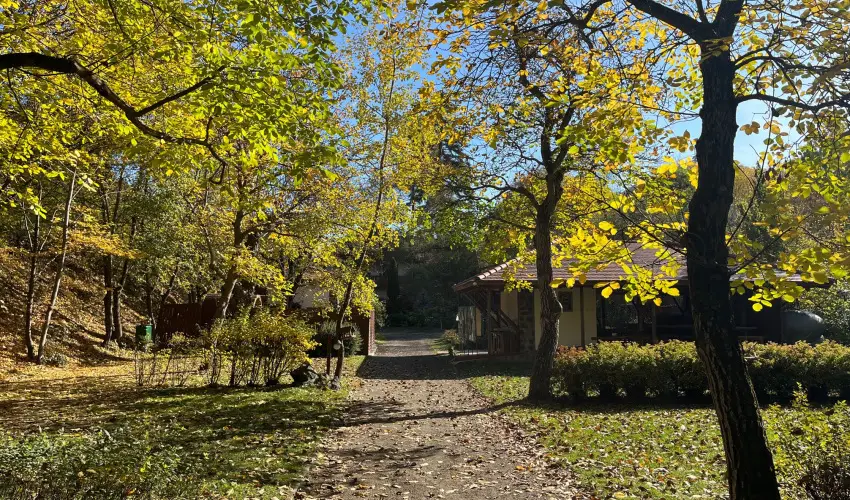 ko-Park Panzi Szarvask - Karcsony