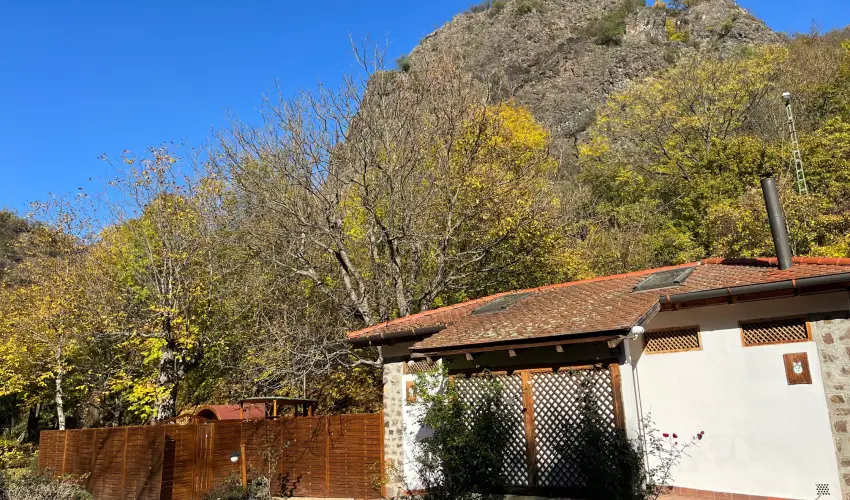 ko-Park Panzi Szarvask - Karcsony