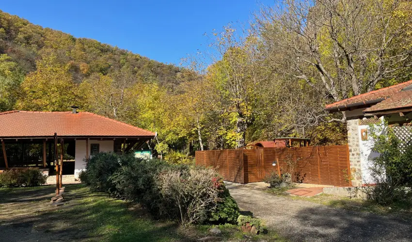 ko-Park Panzi Szarvask - Karcsony