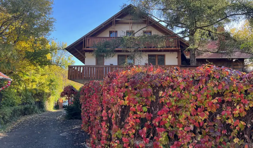 ko-Park Panzi Szarvask - Karcsony