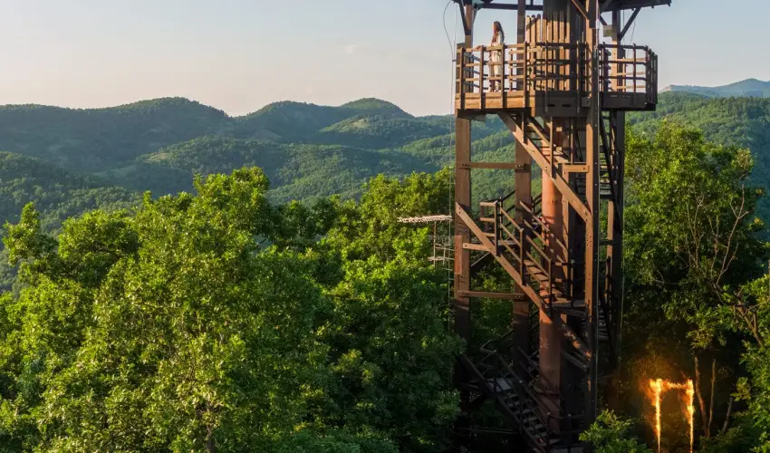 ko-Park Panzi Szarvask - Karcsony