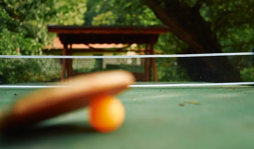 ko-Park Panzi Szarvask - Karcsony