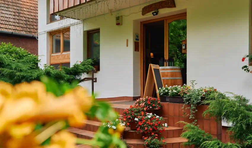 ko-Park Panzi Szarvask - Karcsony