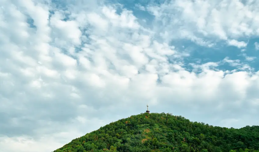 ko-Park Panzi Szarvask - Karcsony