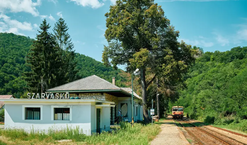 ko-Park Panzi Szarvask - Karcsony