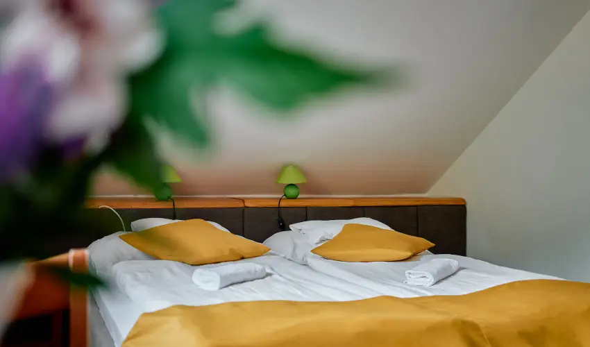 ko-Park Panzi Szarvask - Karcsony