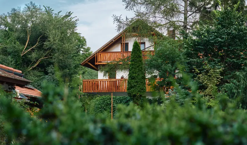 ko-Park Panzi Szarvask - Karcsony