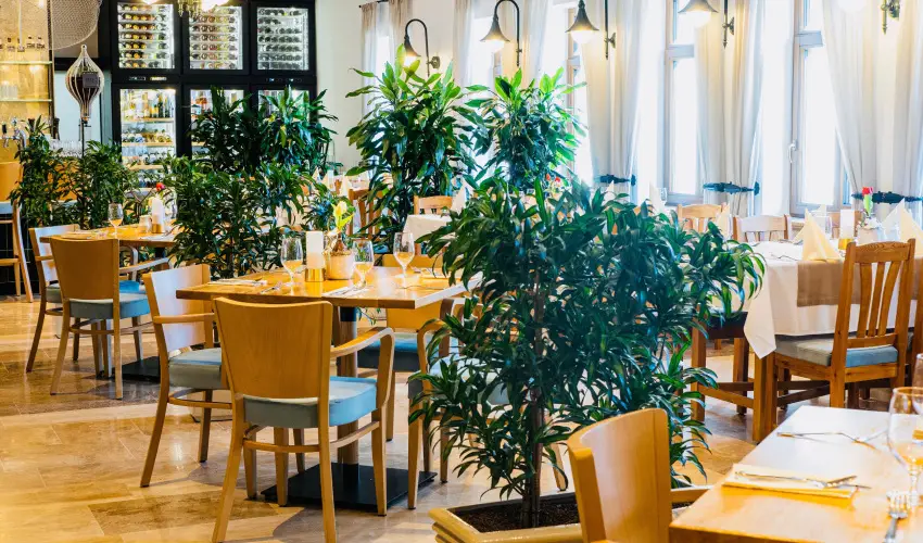 reg Halsz tterem s Fogad Tt - Karcsony