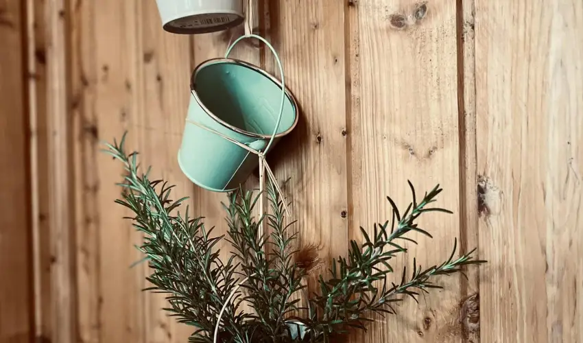 reg Prs Butikhotel Mr - Karcsony