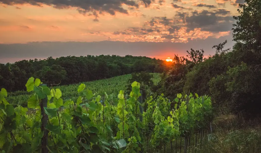 reg Prs Butikhotel Mr - Karcsony