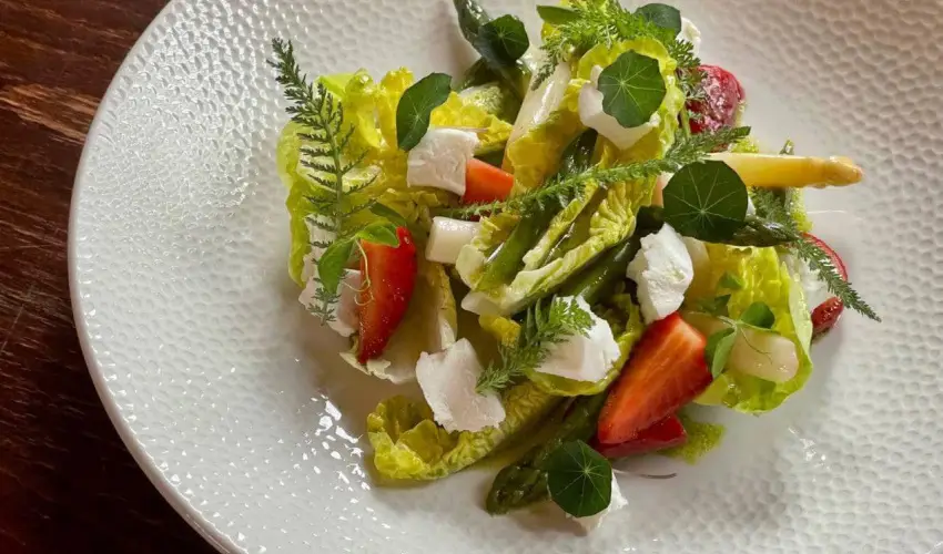 reg Prs Butikhotel Mr - Karcsony