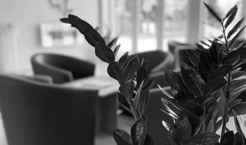 �reg-t� Hotel Tata - Kar�csony