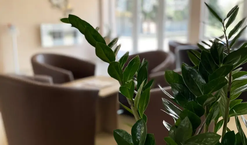 Öreg-tó Hotel Tata - Karácsony