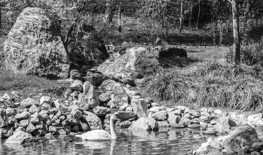 Oxign Family Hotel Noszvaj - Karcsony (min. 2 j)