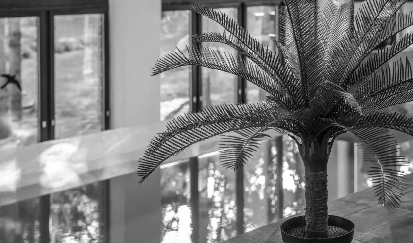 Oxign Family Hotel Noszvaj - Karcsony (min. 2 j)