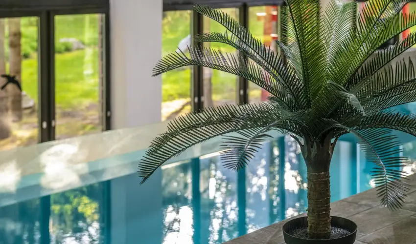 Oxig�n Family Hotel Noszvaj - Kar�csony
