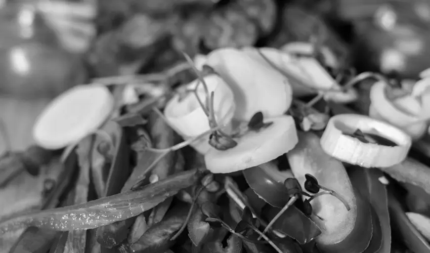 Oxign Family Hotel Noszvaj - Karcsony (min. 2 j)