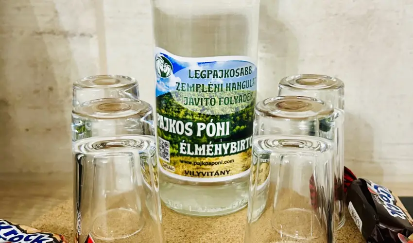 Pajkos P�ni �lm�nybirtok Vilyvit�ny - Zempl�ni kar�csony a P�nikkal 