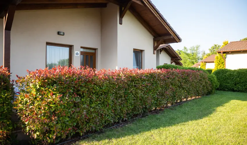 Pandora Zsry Apartmanok Mezkvesd - Karcsony