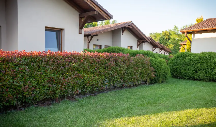 Pandora Zsry Apartmanok Mezkvesd - Karcsony