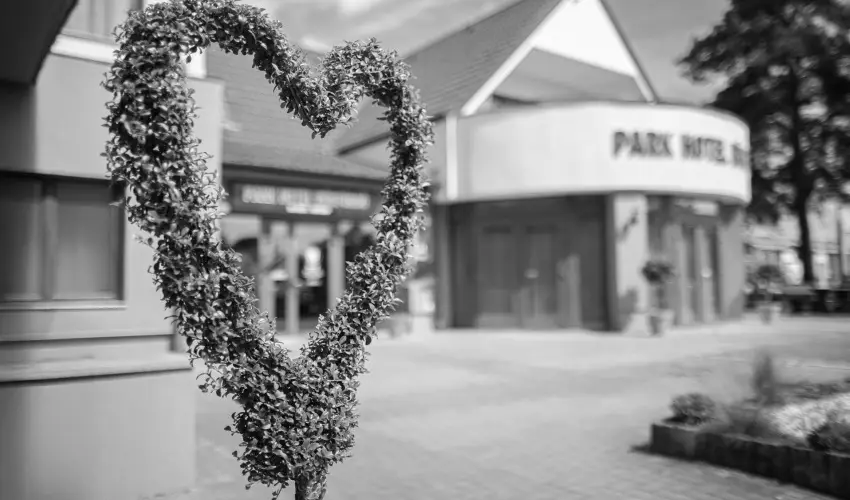 Park Hotel B�kf�rd� B�k, B�kf�rd� - Kar�csony