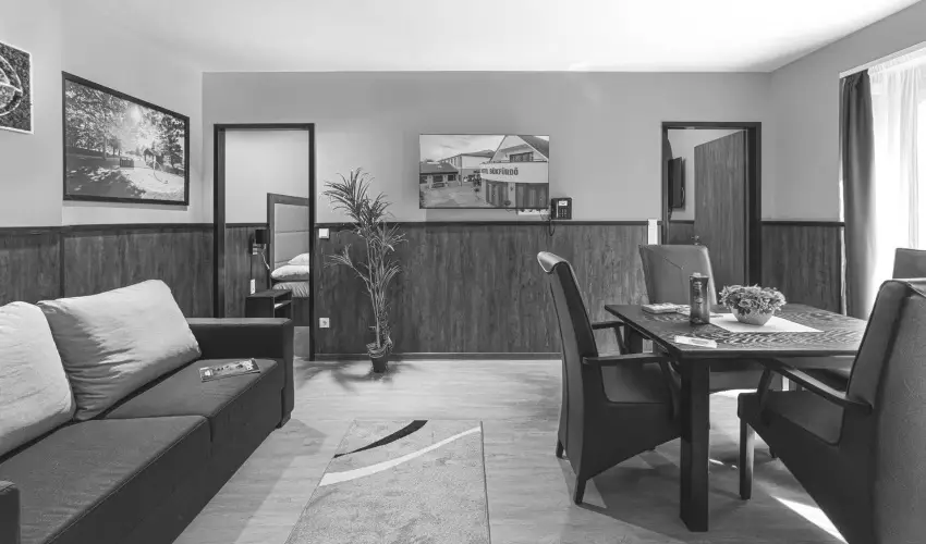 Park Hotel B�kf�rd� B�k, B�kf�rd� - Kar�csony