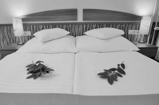 Park Hotel Gyula - Karcsony (min. 3 j)