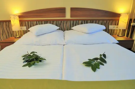 Park Hotel Gyula - Karcsony (min. 3 j)