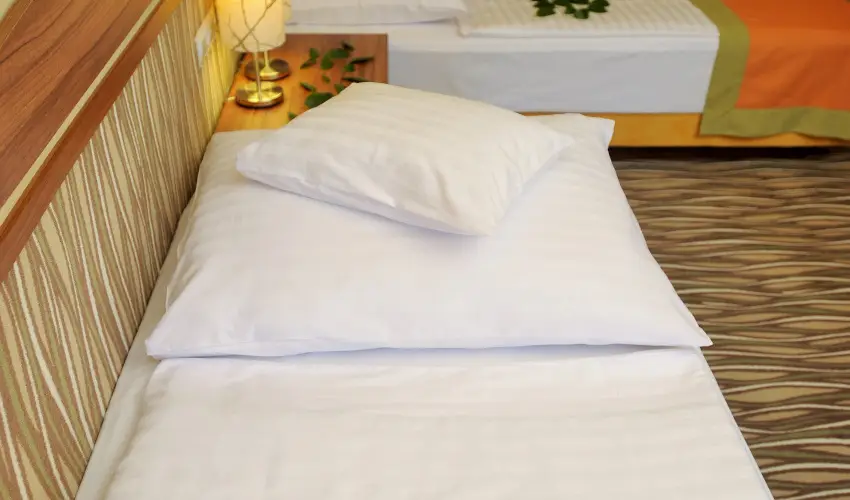 Park Hotel Gyula Gyula - Karcsony (min. 3 j)