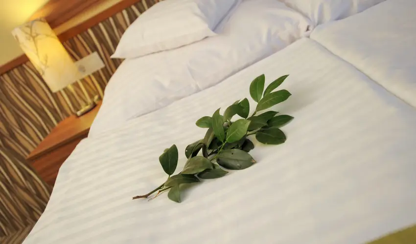 Park Hotel Gyula Gyula - Karcsony (min. 3 j)