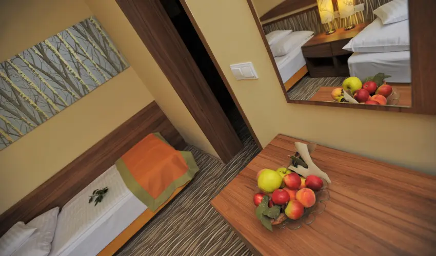 Park Hotel Gyula Gyula - Karcsony (min. 3 j)