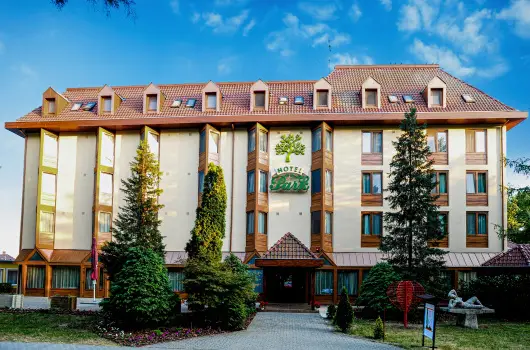 Park Hotel Gyula - Kar�csony