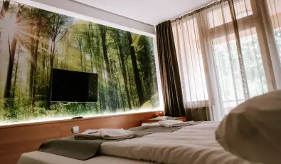 Park Hotel Sst Nyregyhza