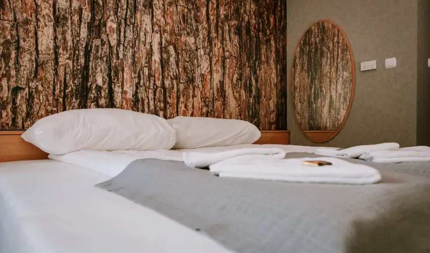 Park Hotel Sst Nyregyhza - Karcsony (min. 2 j)