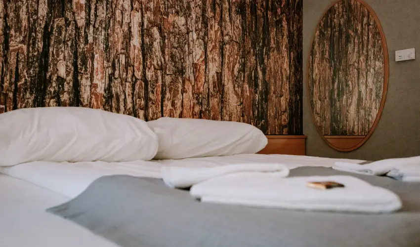 Park Hotel Sst Nyregyhza - Karcsony (min. 2 j)