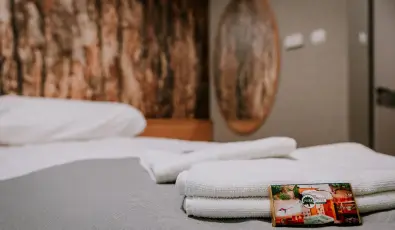 Park Hotel Sst Nyregyhza