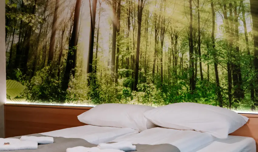 Park Hotel Sst Nyregyhza - Karcsony (min. 2 j)