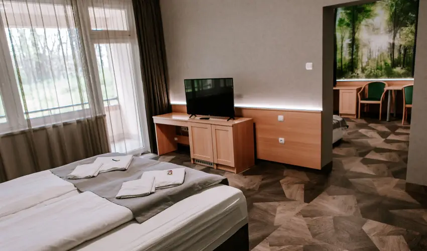 Park Hotel Sst Nyregyhza - Karcsony (min. 2 j)