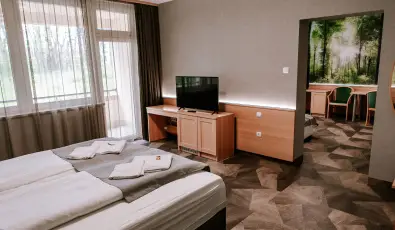 Park Hotel Sst Nyregyhza