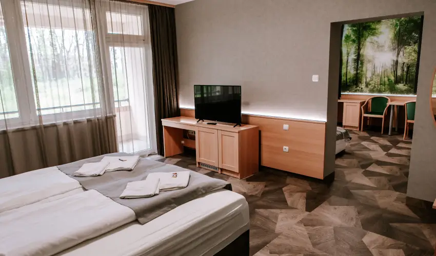 Park Hotel Sst Nyregyhza - Karcsony (min. 2 j)