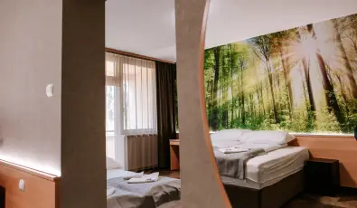 Park Hotel Sst Nyregyhza